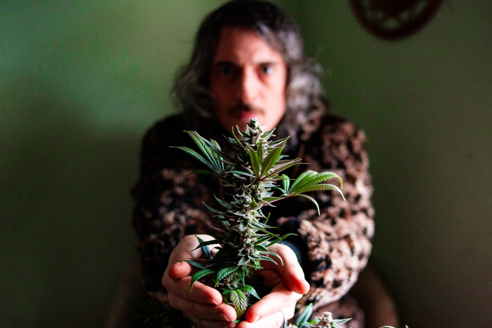 BIO transforma experiência com cannabis medicinal em reggae no novo single “Natural Medicine”